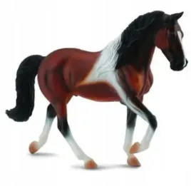 klacz-rasy-stallion-bay-pinto-spacerujaca-collecta