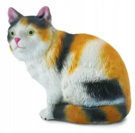 kot-domowy-siedzacy-trzykolorowy-collecta