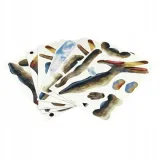 puzzle-3d-dinozaury-pteranodon-43-el-educa-kolekcja-educa