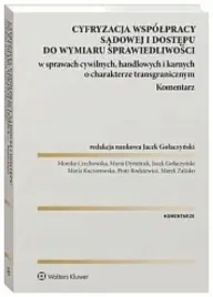 cyfryzacja-wspolpracy-sadowej-i-dostepu-do-wymiaru-sprawiedliwosci-w