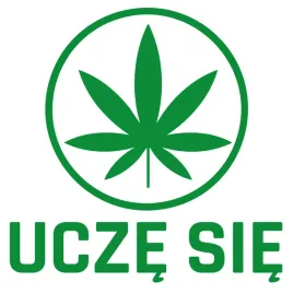 naklejka-zielony-listek-ucze-sie-na-samochod-poczatkujacych-kierowcow