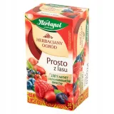herbapol-herbata-ogrod-prosto-z-lasu-forma-ekspresowa