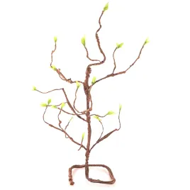 liana-drzewko-giete-repti-zoo-jungle-tree