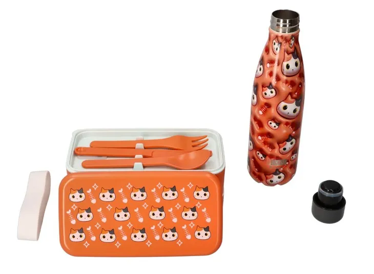 lunch-box-pomaranczowy-kot-kolor-dominujacy-wielokolorowy