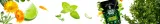 verde-mate-green-mojito-04-kg