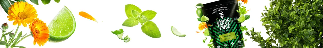 verde-mate-green-mojito-04-kg