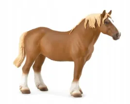 ogier-belgian-mare-gniady