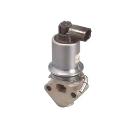 zawor-egr-vw