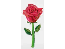 balon-foliowy-roza-czerwona-166-cm-1-szt