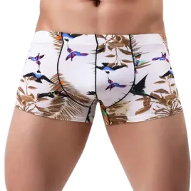 kolorowe-meskie-bokserki-motyw-kolibrow-xxl