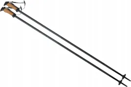 kijki-kije-narciarskie-zjazdowe-elan-speedrod-125cm
