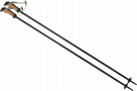 kijki-kije-narciarskie-zjazdowe-elan-speedrod-120cm
