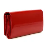 07shiny106-marka-pierre-cardin
