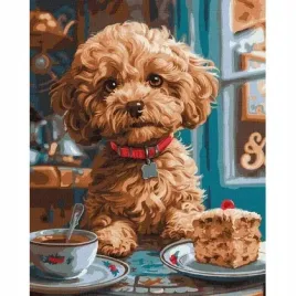 malowanie-po-numerach-maltipoo-w-kawiarni-40x50-ideyka