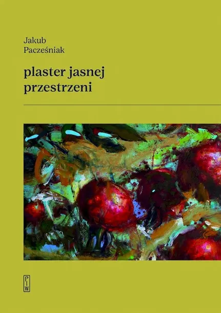 plaster-jasnej-przestrzeni-wydawnictwo-panstwowy-instytut-wydawniczy-piw