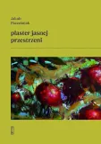 plaster-jasnej-przestrzeni-wydawnictwo-panstwowy-instytut-wydawniczy-piw