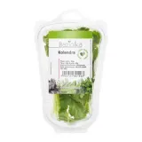 kolendra-cieta-30g-baziolka