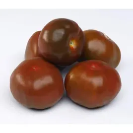 pomidor-kumato-okragly-klasa-i-polska-500-g
