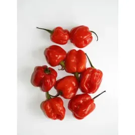 papryka-ostra-habanero-czerwona-holandia-75g