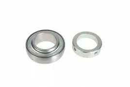 grae55nppb-wklad-lozyska-55x100x24-mm-ina-fag