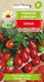 nasiona-pomidora-pomidor-gruntowy-karlowy-denar-05g-toraf-183