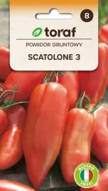 nasiona-pomidora-pomidor-gruntowy-scatolone-3-05g-toraf-179