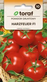 nasiona-pomidora-pomidor-gruntowy-harzfeuer-f1-03g-toraf-177
