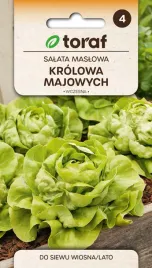 nasiona-warzyw-salata-maslowa-krolowa-majowych-2g-toraf-236