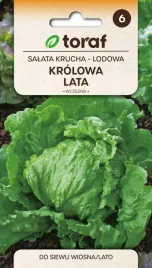 nasiona-warzyw-salata-krucha-lodowa-krolowa-lata-wczesna-1g-toraf-231