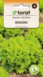 nasiona-warzyw-salata-lisciowa-lodowa-rekord-1g-toraf-228
