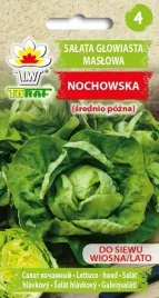 nasiona-warzyw-salata-maslowa-glowiasta-rosemarry-1g-toraf-239