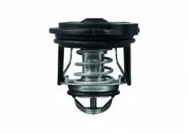 mahle-ti-246-50-termostat-plyn-chlodzacy