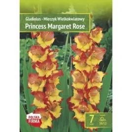 kapers-gladiolus-mieczyk-princess-margaret-rose-10-12-7szt