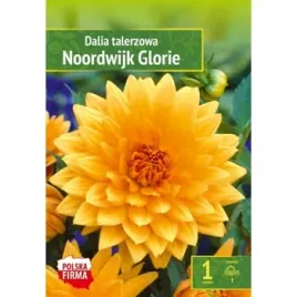 kapers-dahlia-dalia-noordwijk-glorie-1-szt-benex