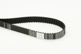 continental-ct1101-pasek-rozrzadu