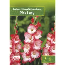 kapers-gladiolus-mieczyk-pink-lady-10-12-7szt
