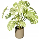 podpora-do-roslin-25x45cm-3-sztuki-waga-z-opakowaniem-0-55-kg