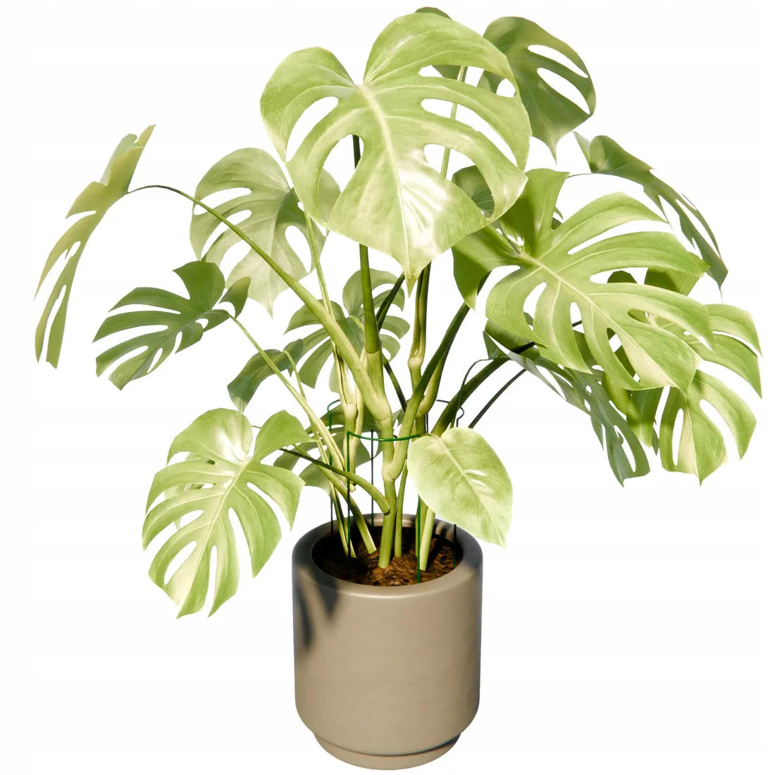 podpora-do-roslin-25x45cm-3-sztuki-waga-z-opakowaniem-0-55-kg