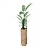 podpora-do-roslin-25x45cm-3-sztuki-wysokosc-produktu-45-cm