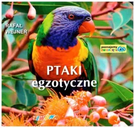 ptaki-egzotyczne-poznajemy-zwierzeta