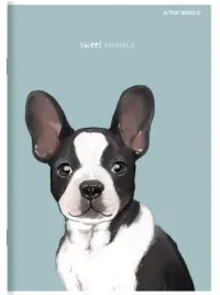 zeszyt-kolorowa-kratka-zeszyt-szkolny-sweet-animals-16k-w-kratke-mix