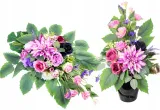 stroik-dalia-i-eustoma-multikolor-stan-nowy-wysokosc-90-cm