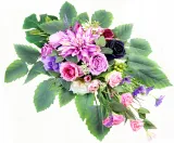 stroik-dalia-i-eustoma-multikolor