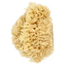 baby-buddy-natural-premium-sea-wool-bath-sponge-1-sponge