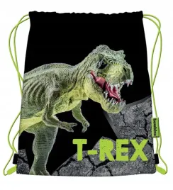 worek-szkolny-na-obuwie-buty-z-dinozaurem-t-rex-worek-na-gimnastyke-dino