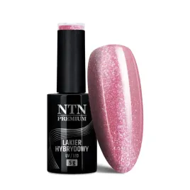 lakier-hybrydowy-ntn-day-dreaming-collection-5-g-nr-55