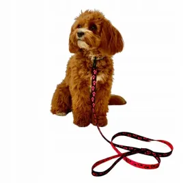 dotty-smycz-dla-psa-malego-czarna-w-rozowe-lapki