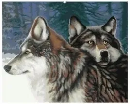 diamentowa-mozaika-wilki-dwa-w-zimowym-lesie-no-1008528-picador