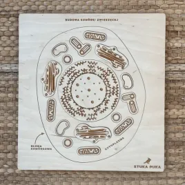 puzzle-drewniane-edukacyjne-w-nogi-budowa-komorki-zwierzecej-stuka-puka