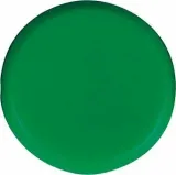 magnes-biurowyokragly-zielon-20mm-eclipse